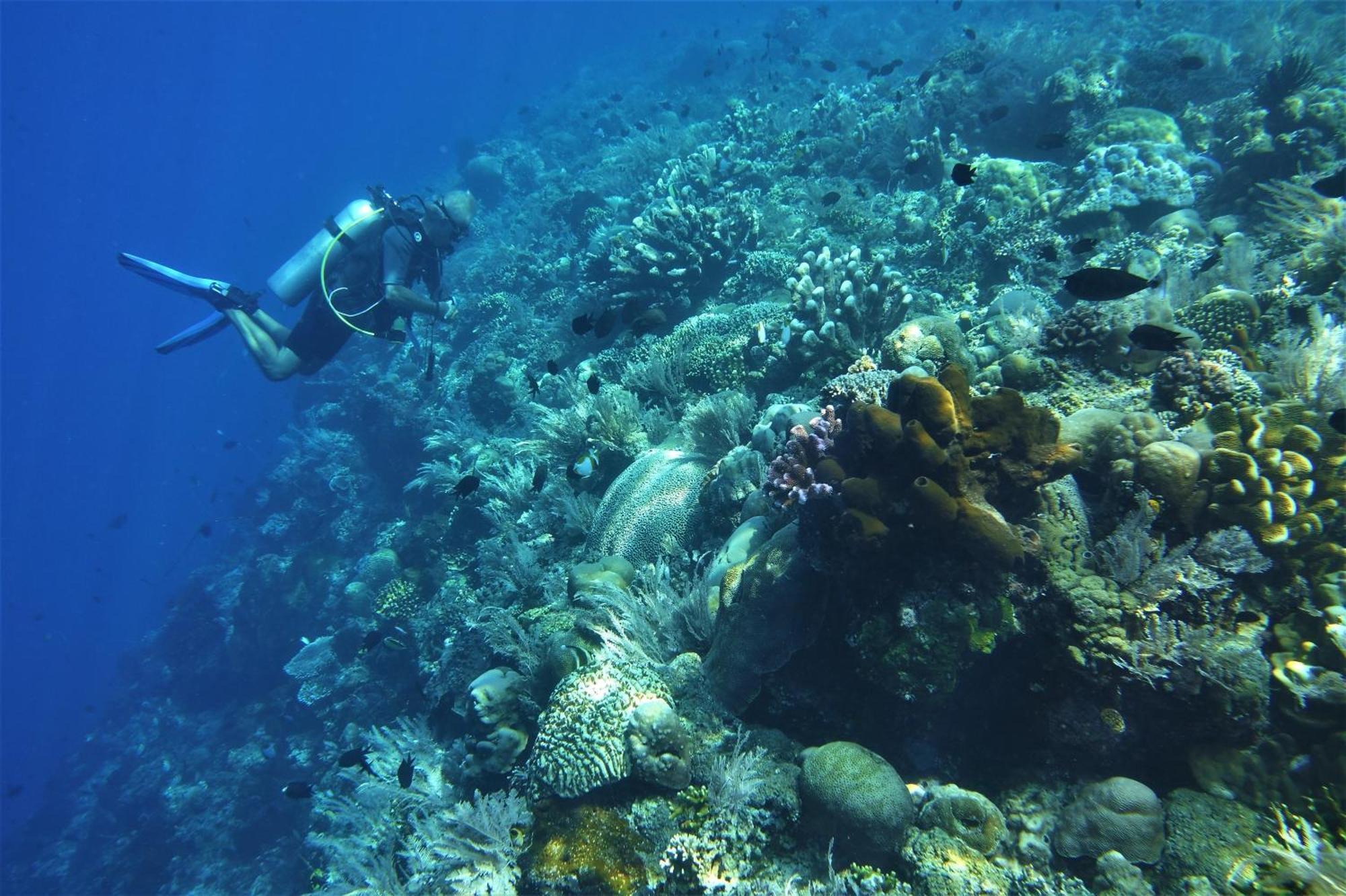 Bunaken Sea Garden Resort Eksteriør bilde