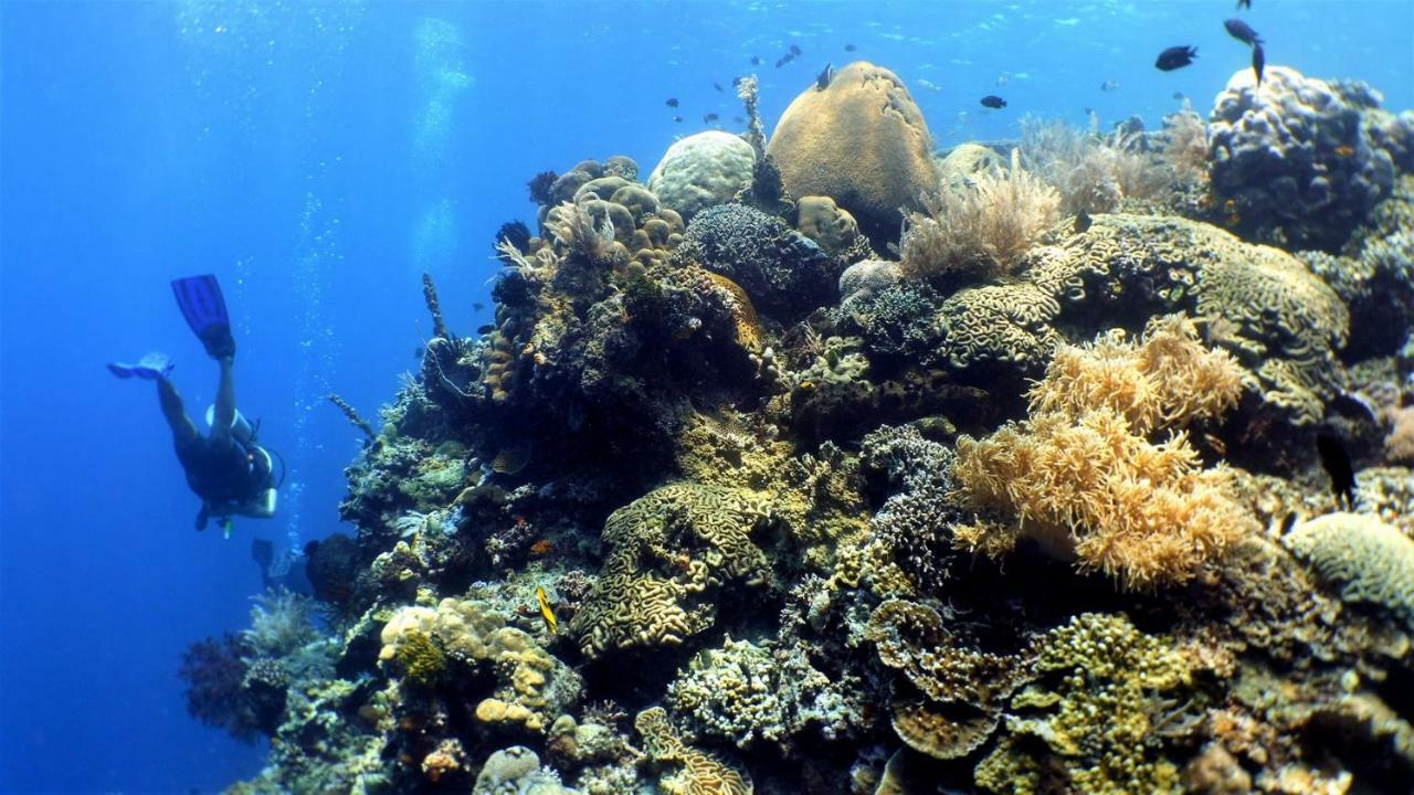 Bunaken Sea Garden Resort Eksteriør bilde